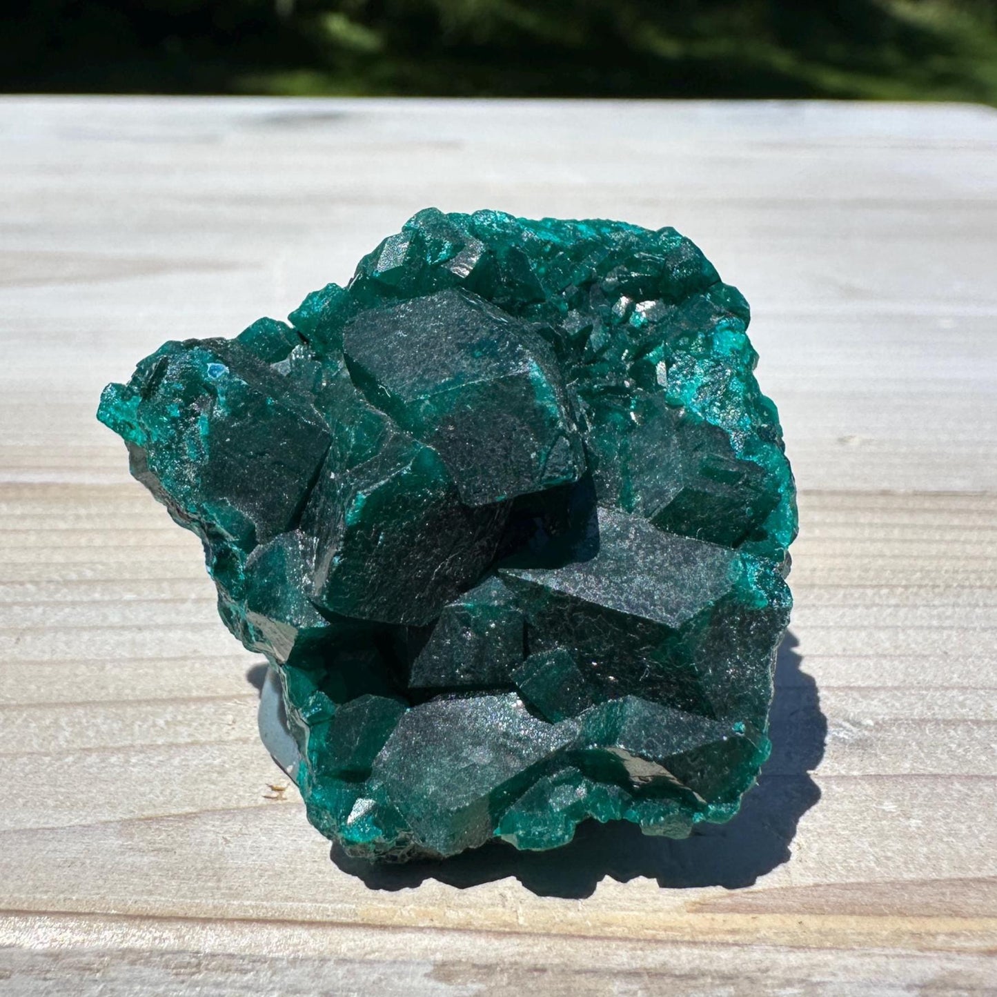 Dioptase Specimen Crystal Cluster - #1