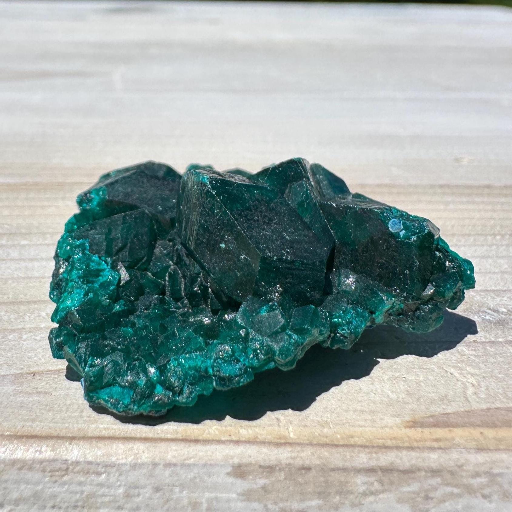 Dioptase Specimen Crystal Cluster - #1