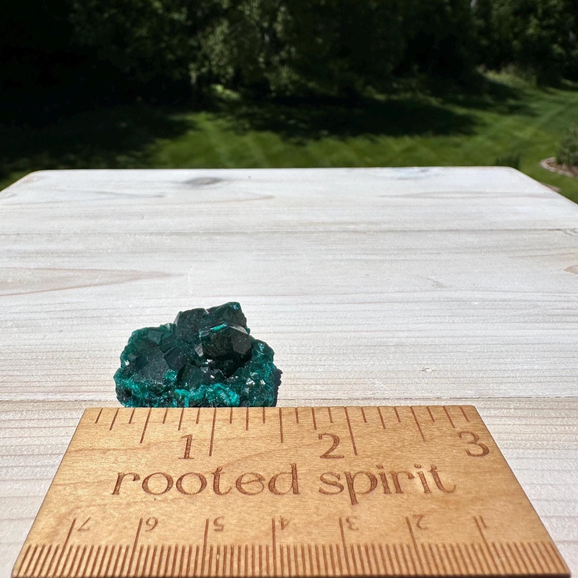 Dioptase Specimen Crystal Cluster - #1