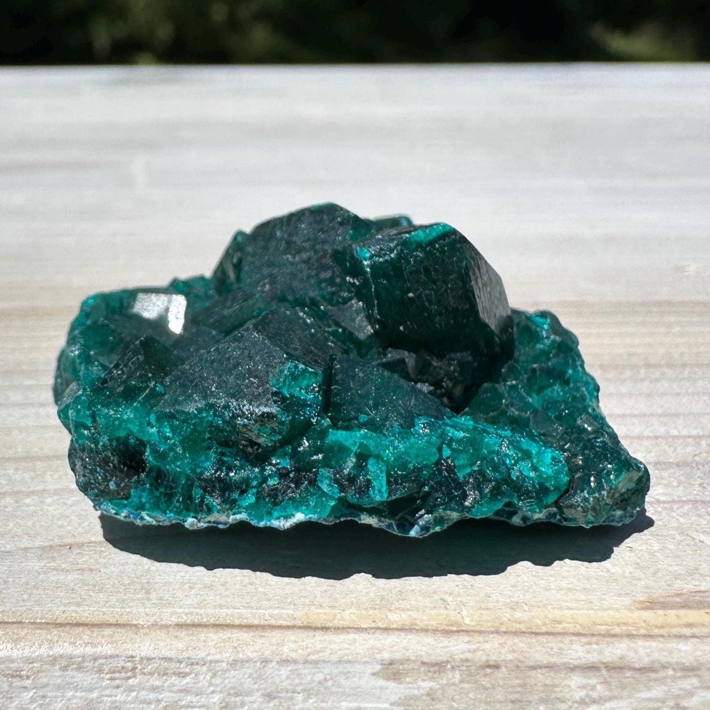 Dioptase Specimen Crystal Cluster - #1