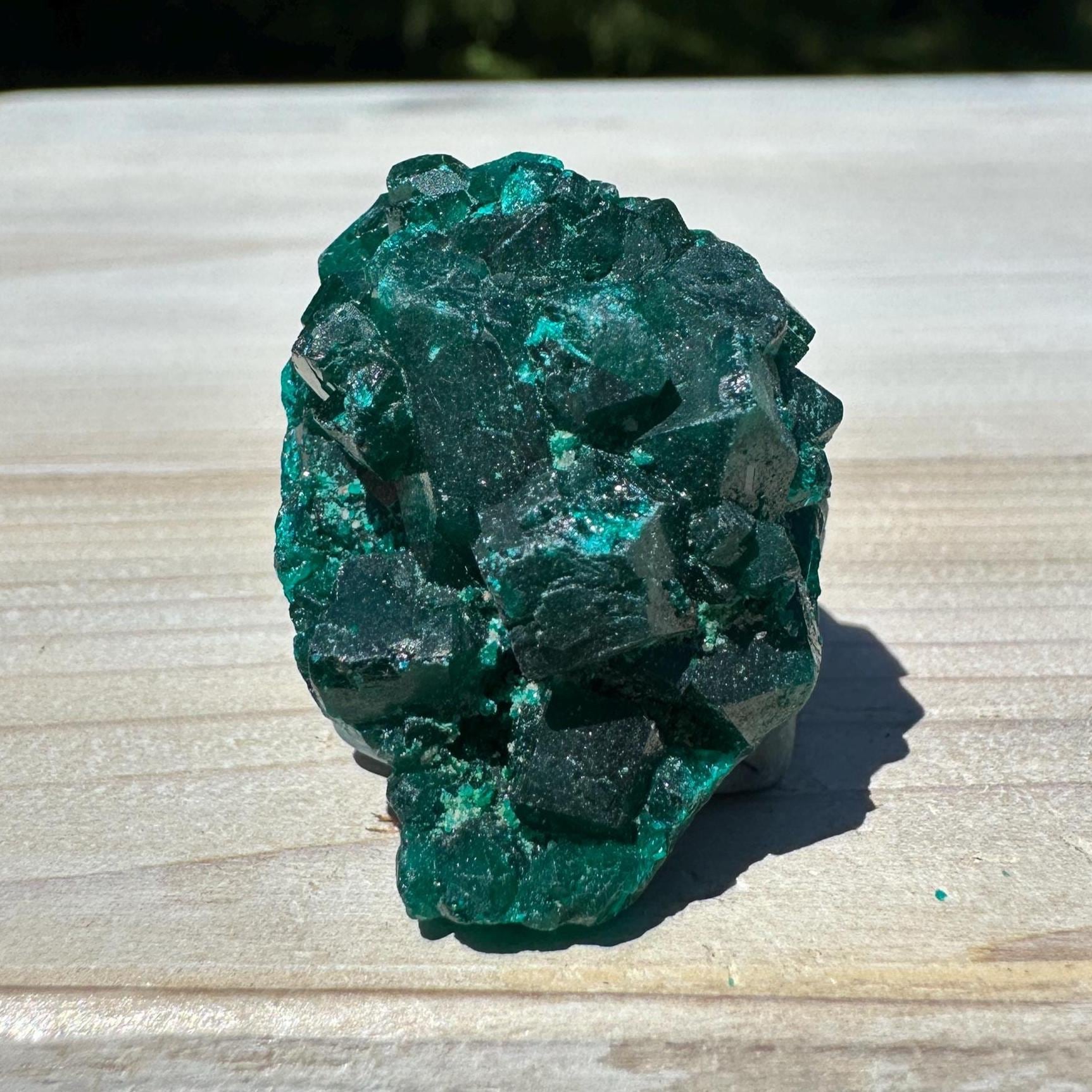 Dioptase Specimen Crystal Cluster - #3