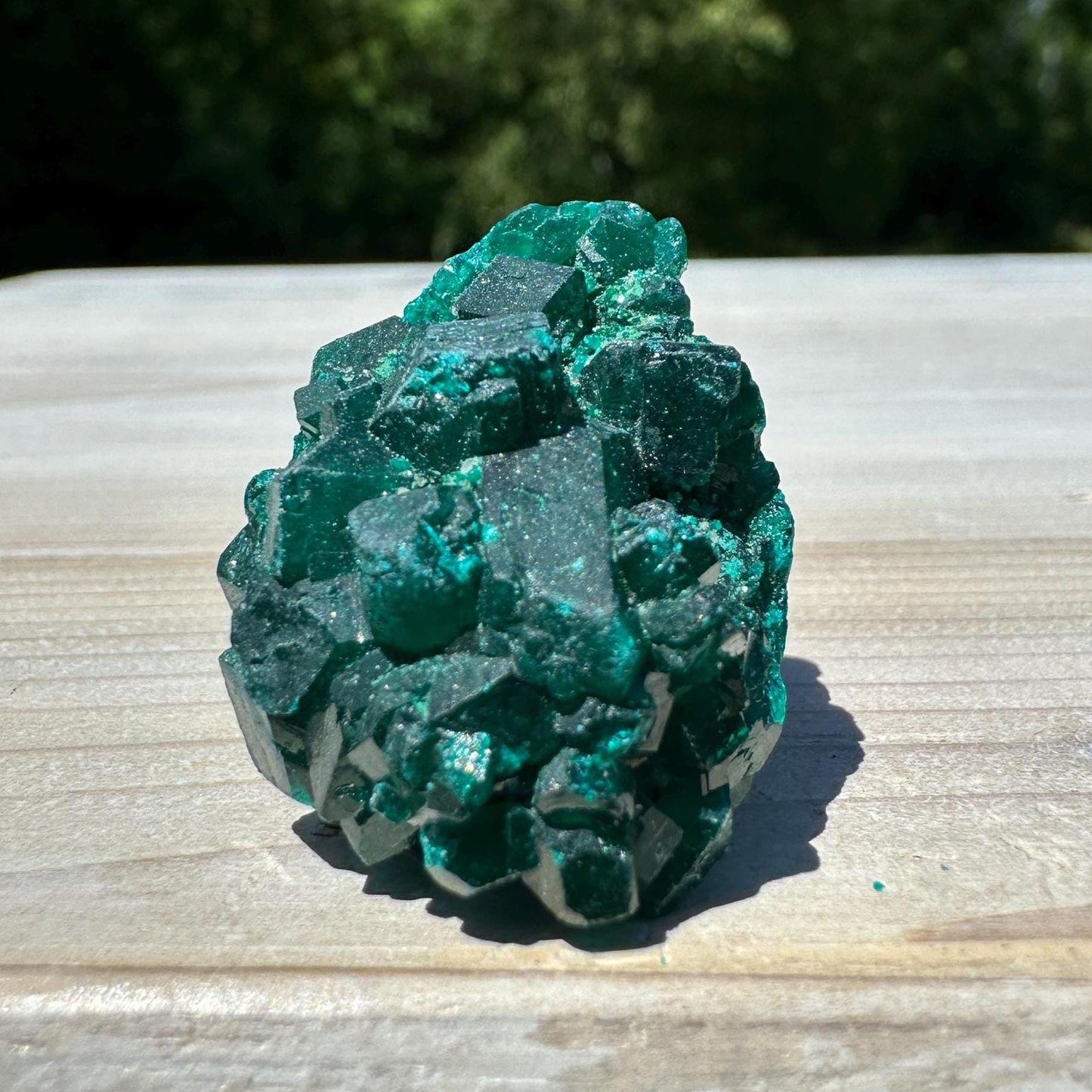 Dioptase Specimen Crystal Cluster - #3