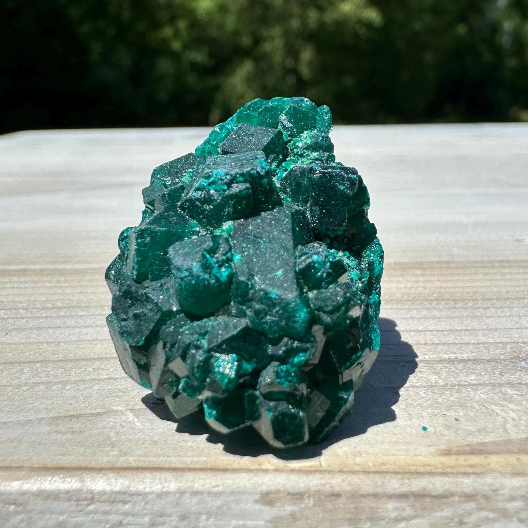 Dioptase Specimen Crystal Cluster - #3
