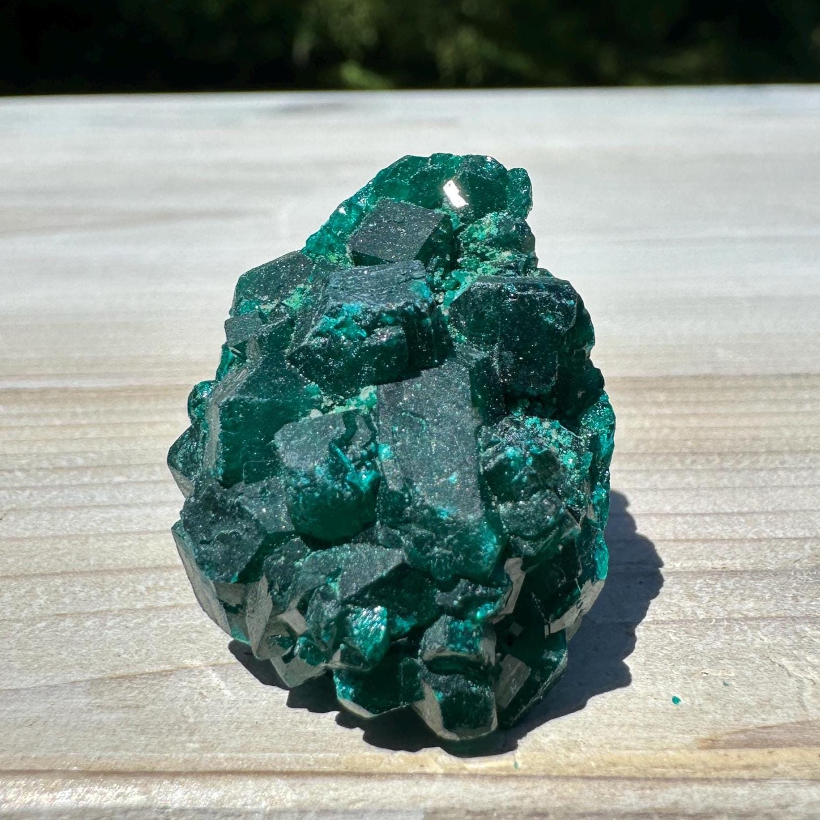 Dioptase Specimen Crystal Cluster - #3