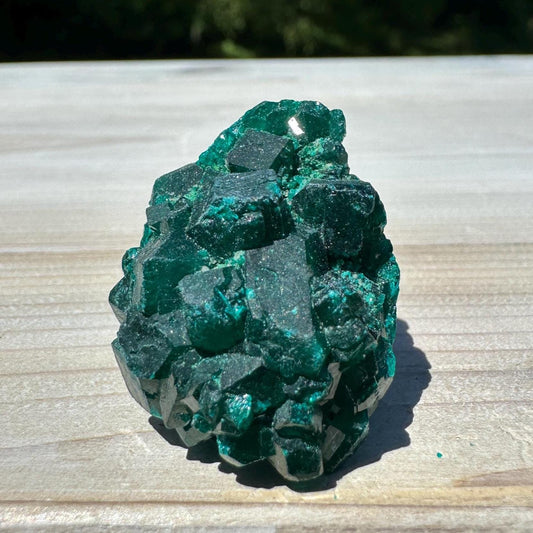 Dioptase Specimen Crystal Cluster - #3
