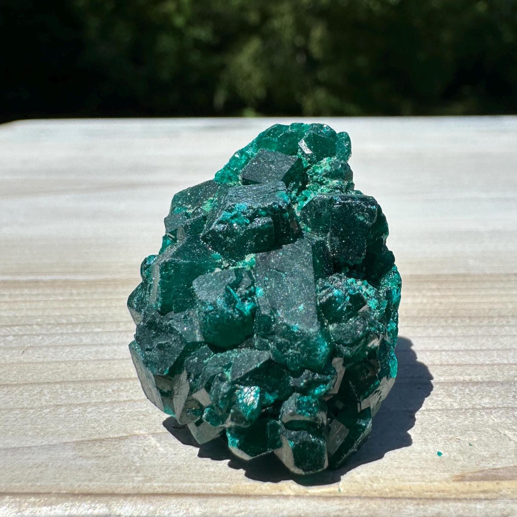 Dioptase Specimen Crystal Cluster - #3