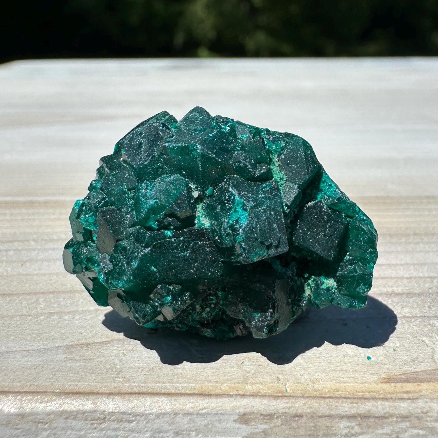 Dioptase Specimen Crystal Cluster - #3
