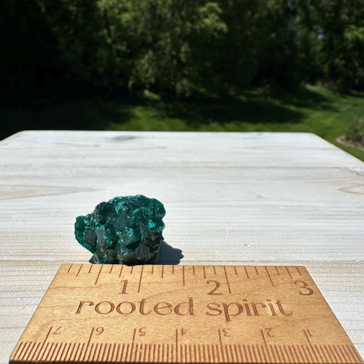 Dioptase Specimen Crystal Cluster - #3