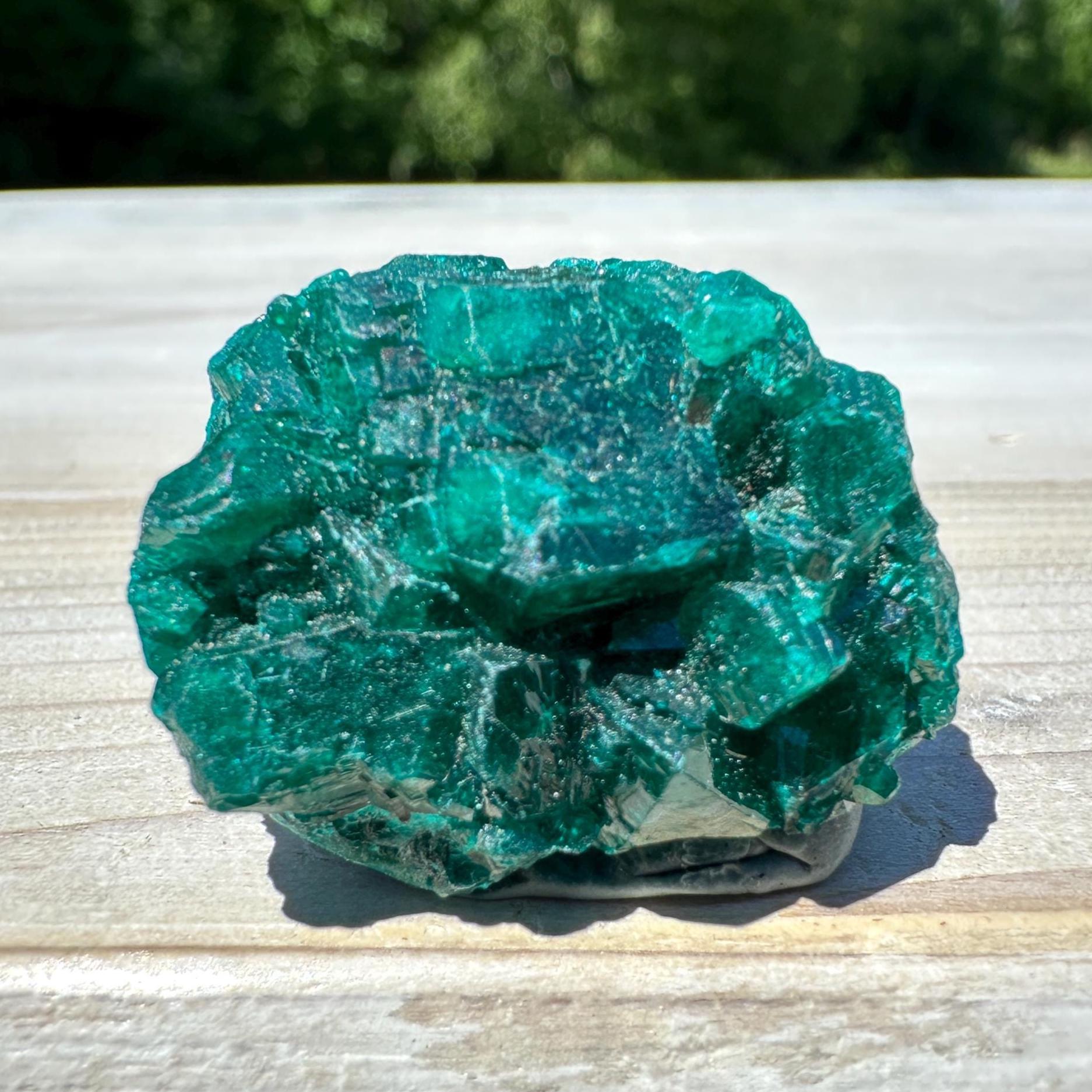 Dioptase Specimen Crystal Cluster - #4