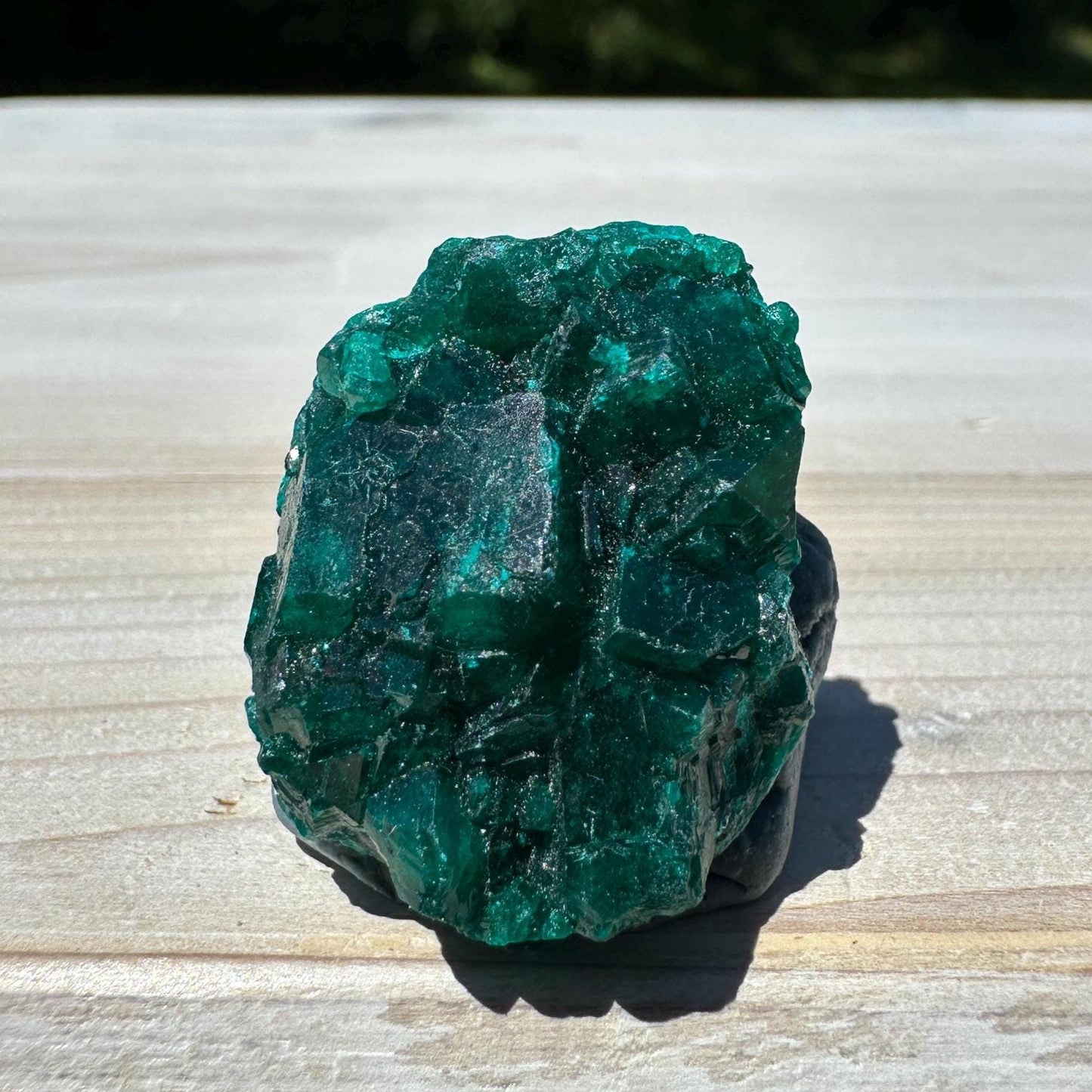 Dioptase Specimen Crystal Cluster - #4