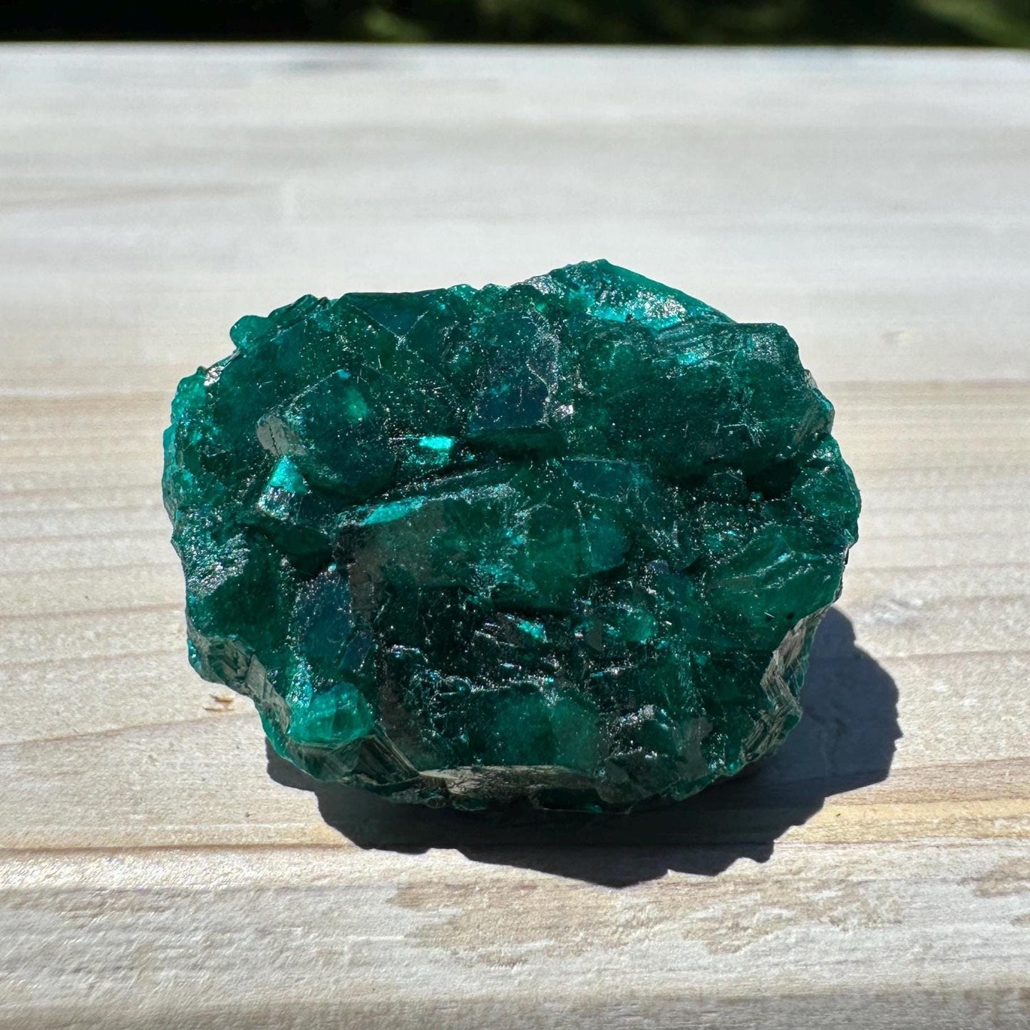 Dioptase Specimen Crystal Cluster - #4