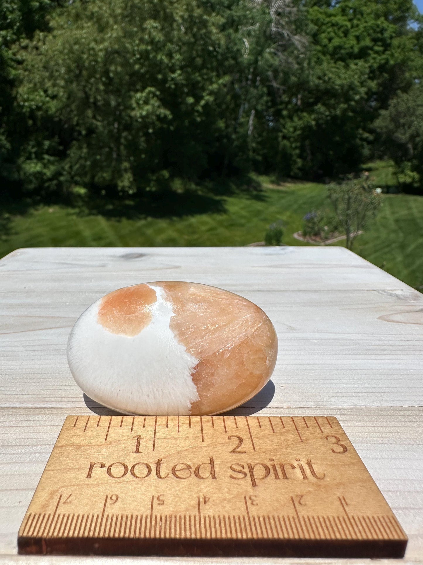 Gorgeous Polished Scolecite with Stilbite Palm Stone - #4