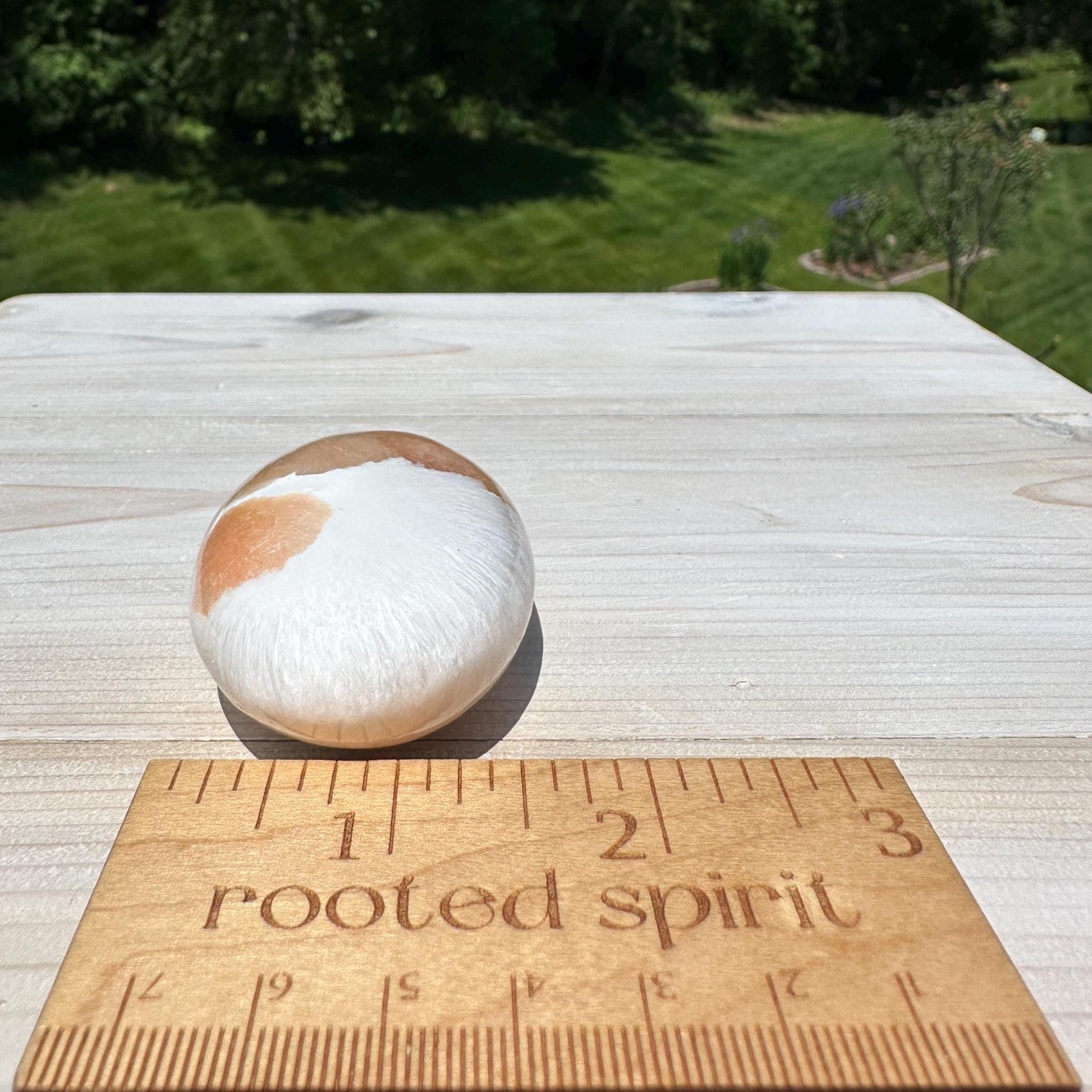 Gorgeous Polished Scolecite with Stilbite Palm Stone - #4