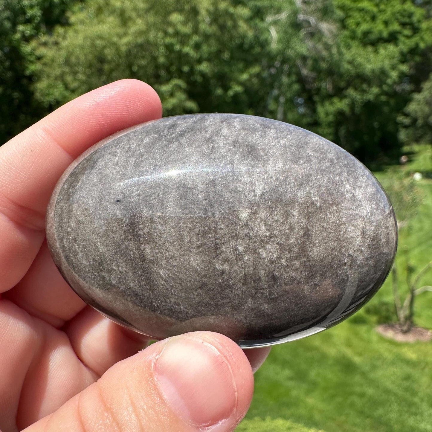 Silver Sheen Obsidian Palm Stone from Mexico - #4