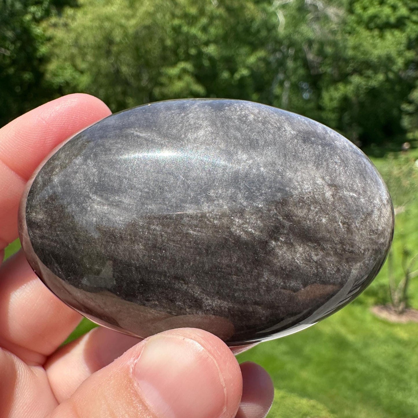 Silver Sheen Obsidian Palm Stone from Mexico - #6