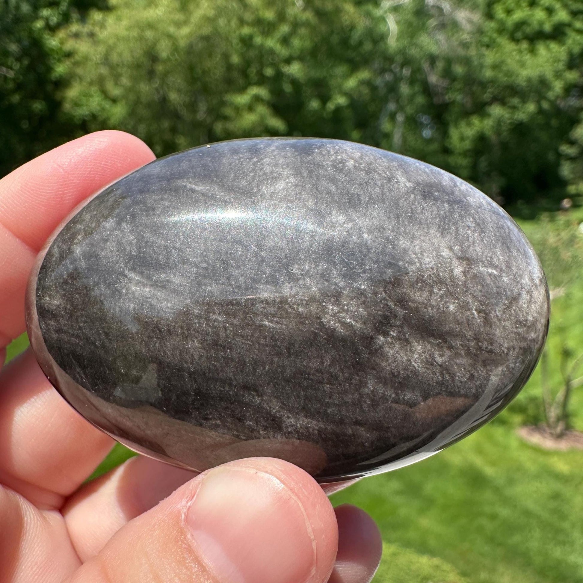 Silver Sheen Obsidian Palm Stone from Mexico - #6