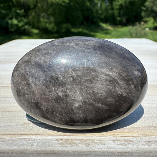 Silver Sheen Obsidian Palm Stone from Mexico - #6