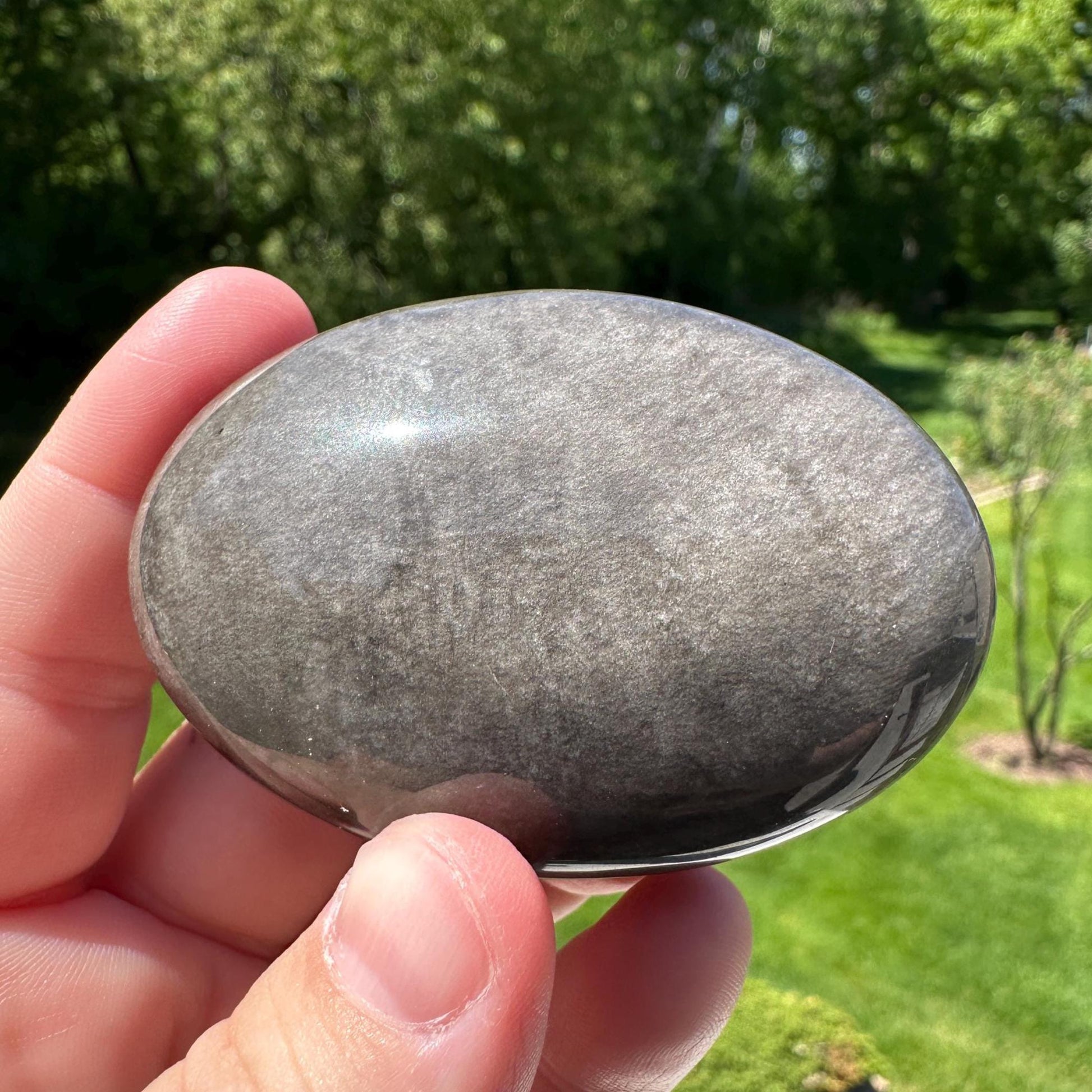 Silver Sheen Obsidian Palm Stone from Mexico - #3