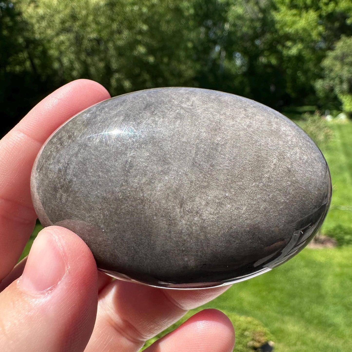 Silver Sheen Obsidian Palm Stone from Mexico - #3