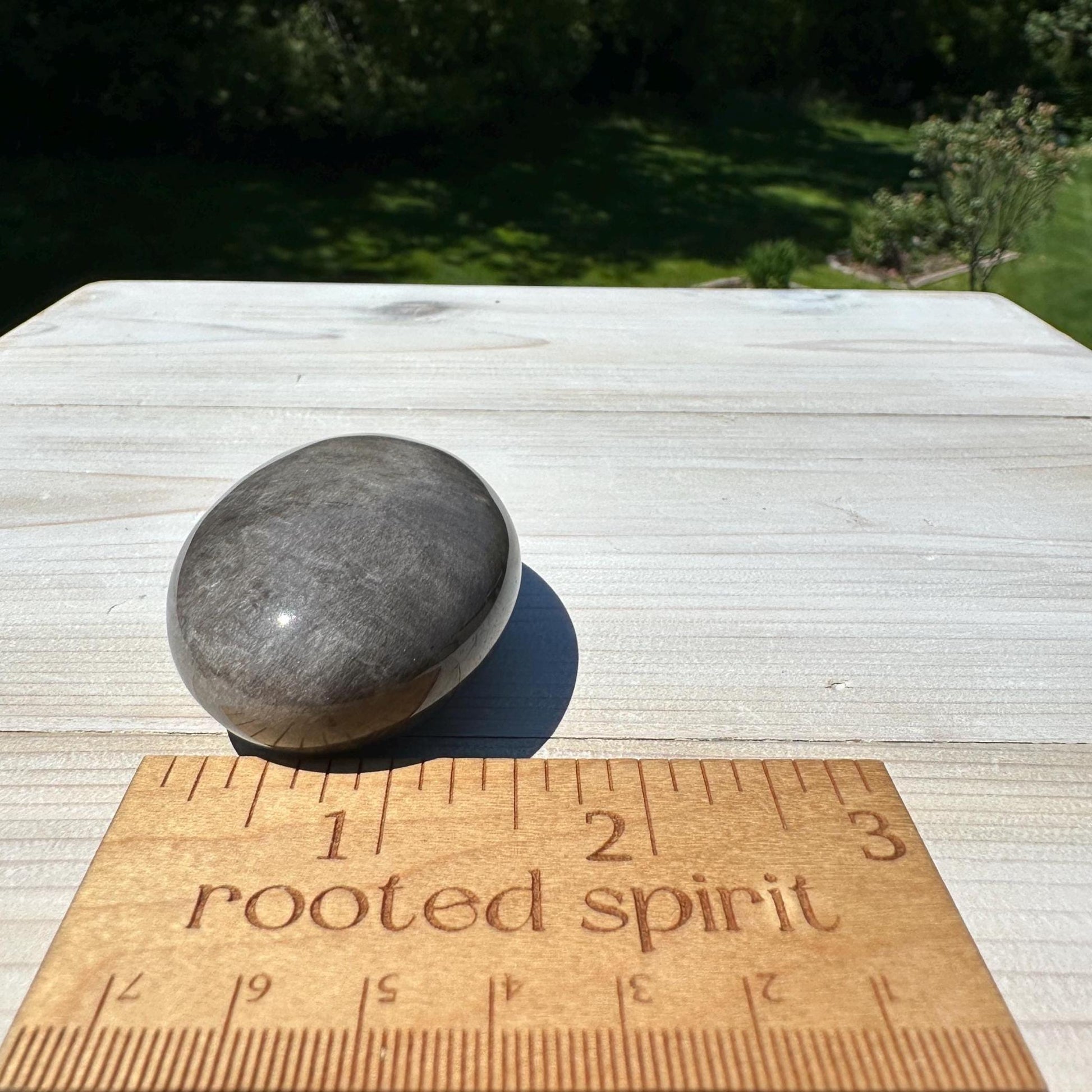 Silver Sheen Obsidian Palm Stone from Mexico - #3