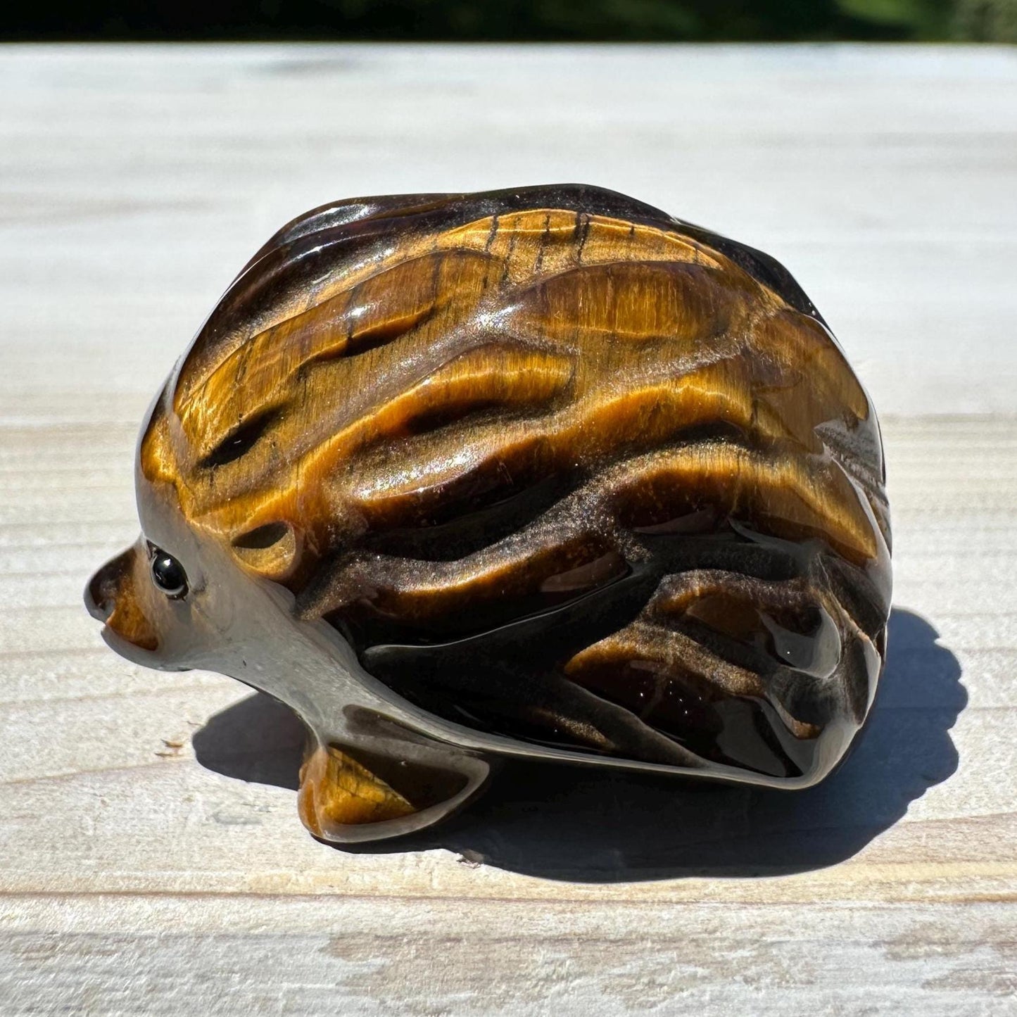 Cute Tiger Eye Hedgehog Carving - #1