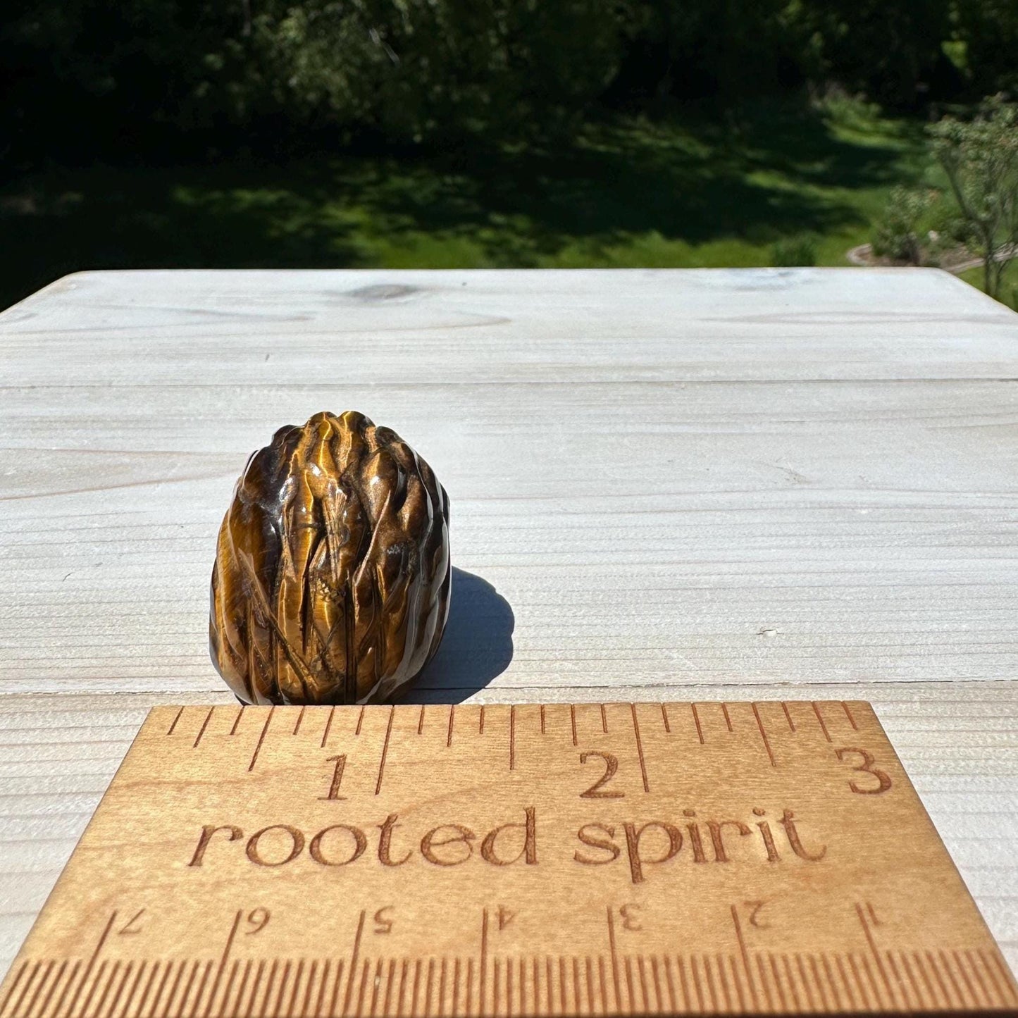 Cute Tiger Eye Hedgehog Carving - #1