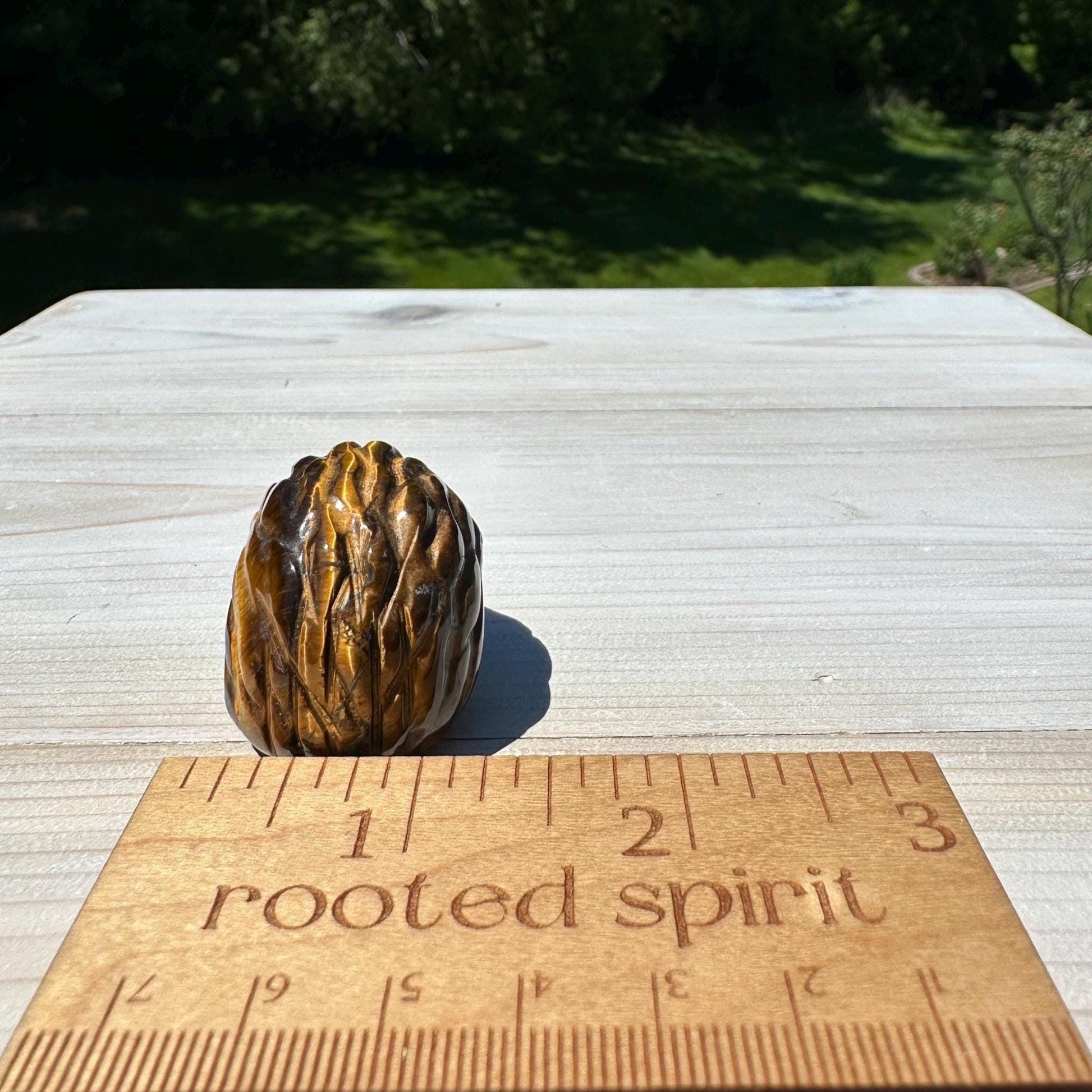 Cute Tiger Eye Hedgehog Carving - #1