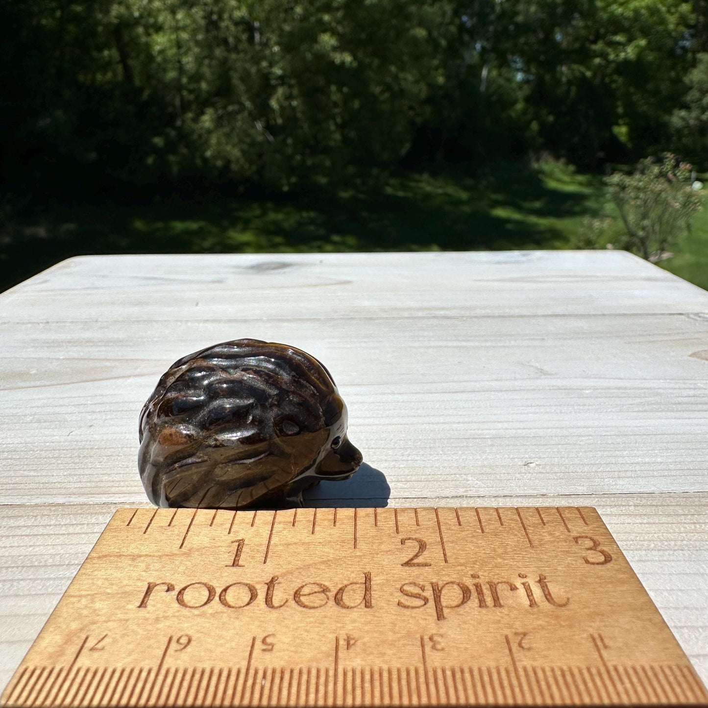 Cute Tiger Eye Hedgehog Carving - #1