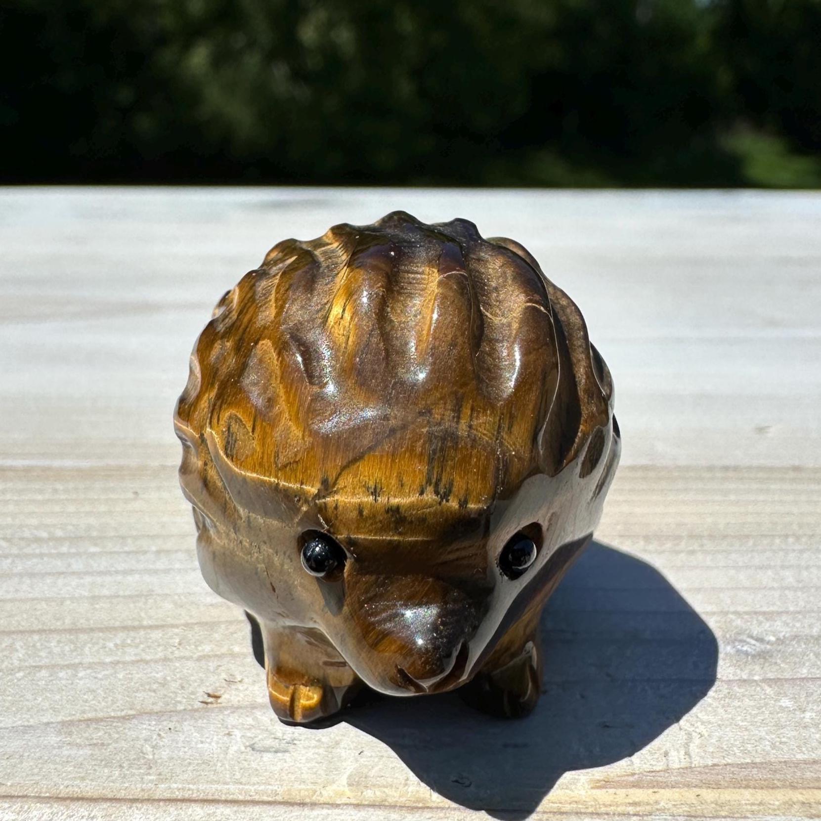 Cute Tiger Eye Hedgehog Carving - #3