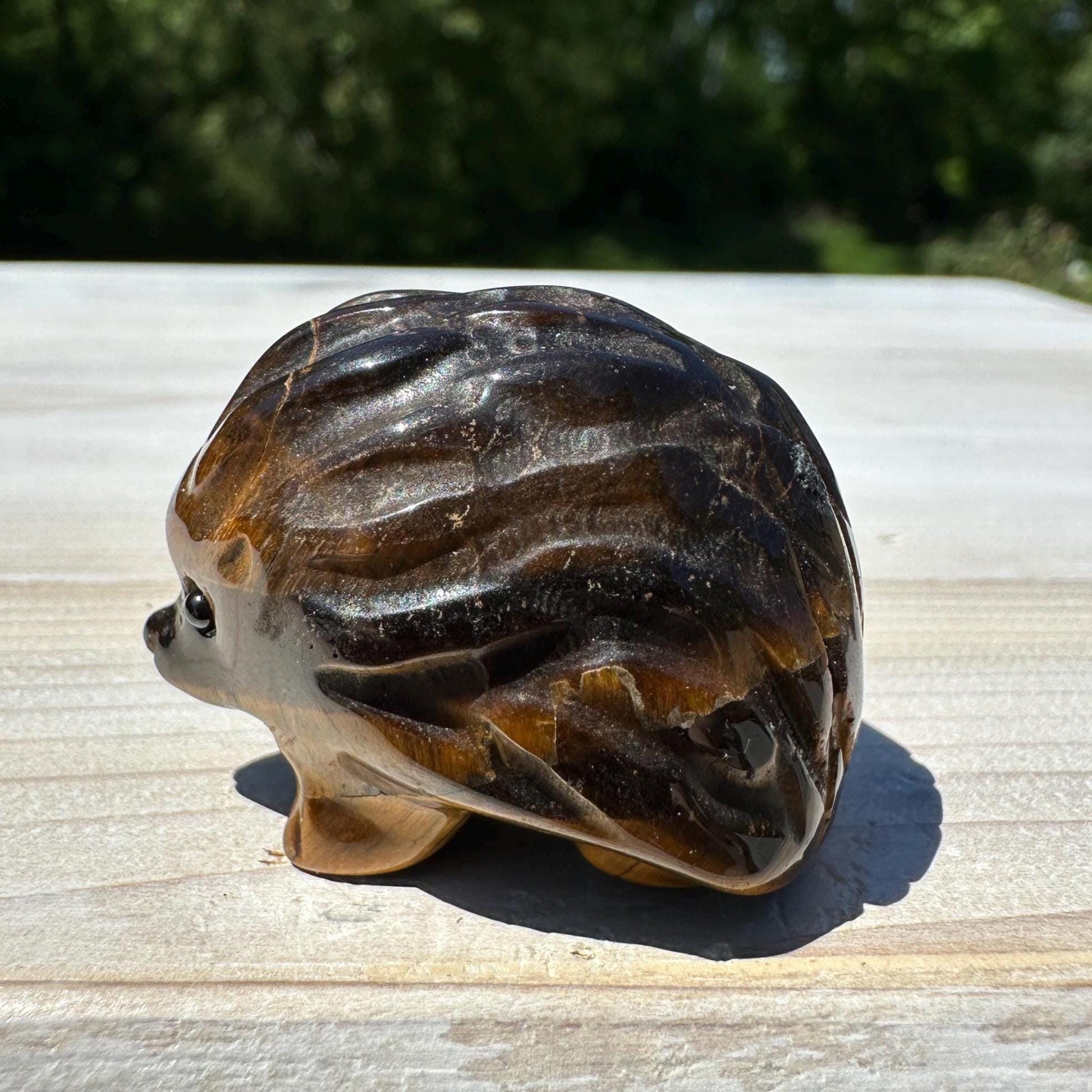 Cute Tiger Eye Hedgehog Carving - #3