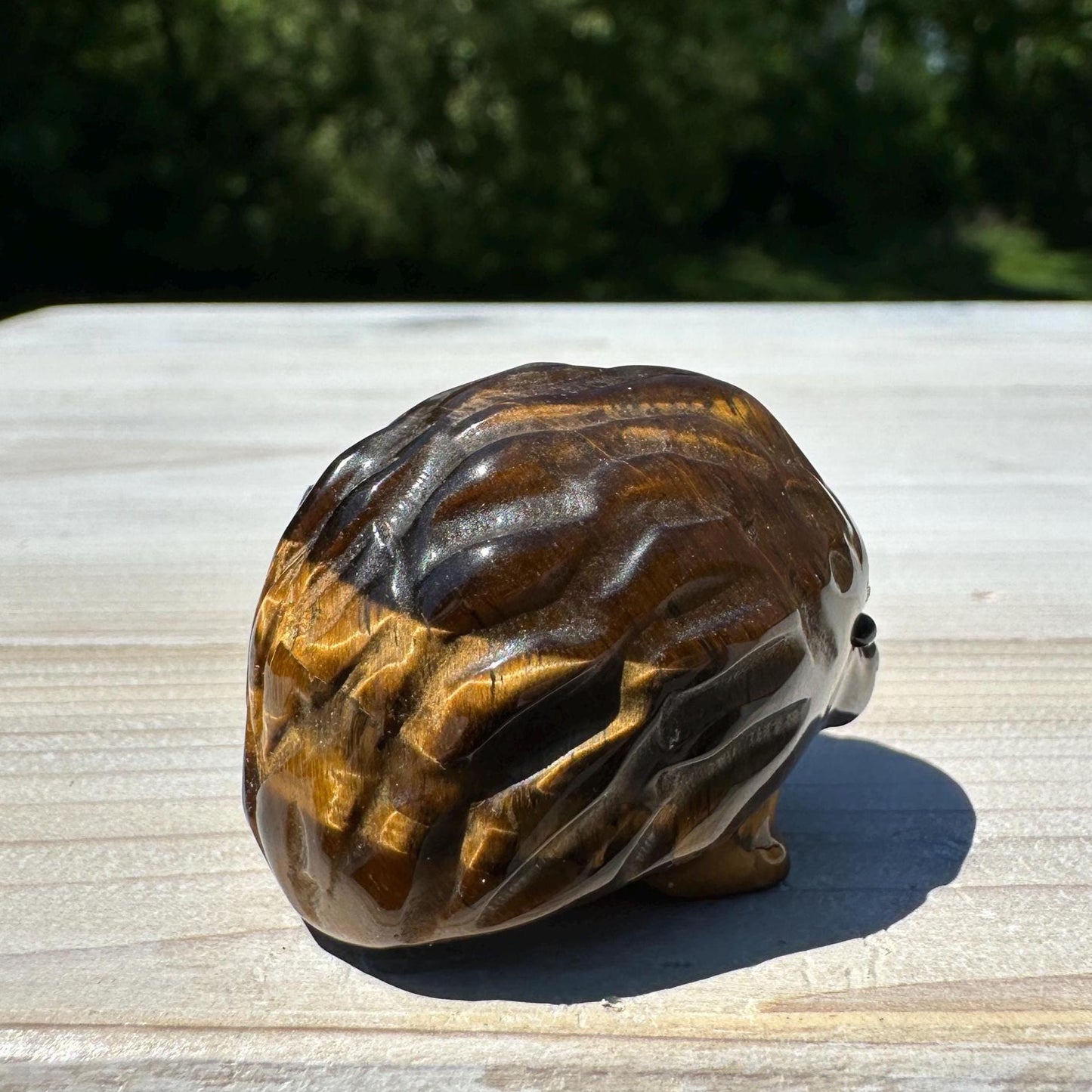 Cute Tiger Eye Hedgehog Carving - #3