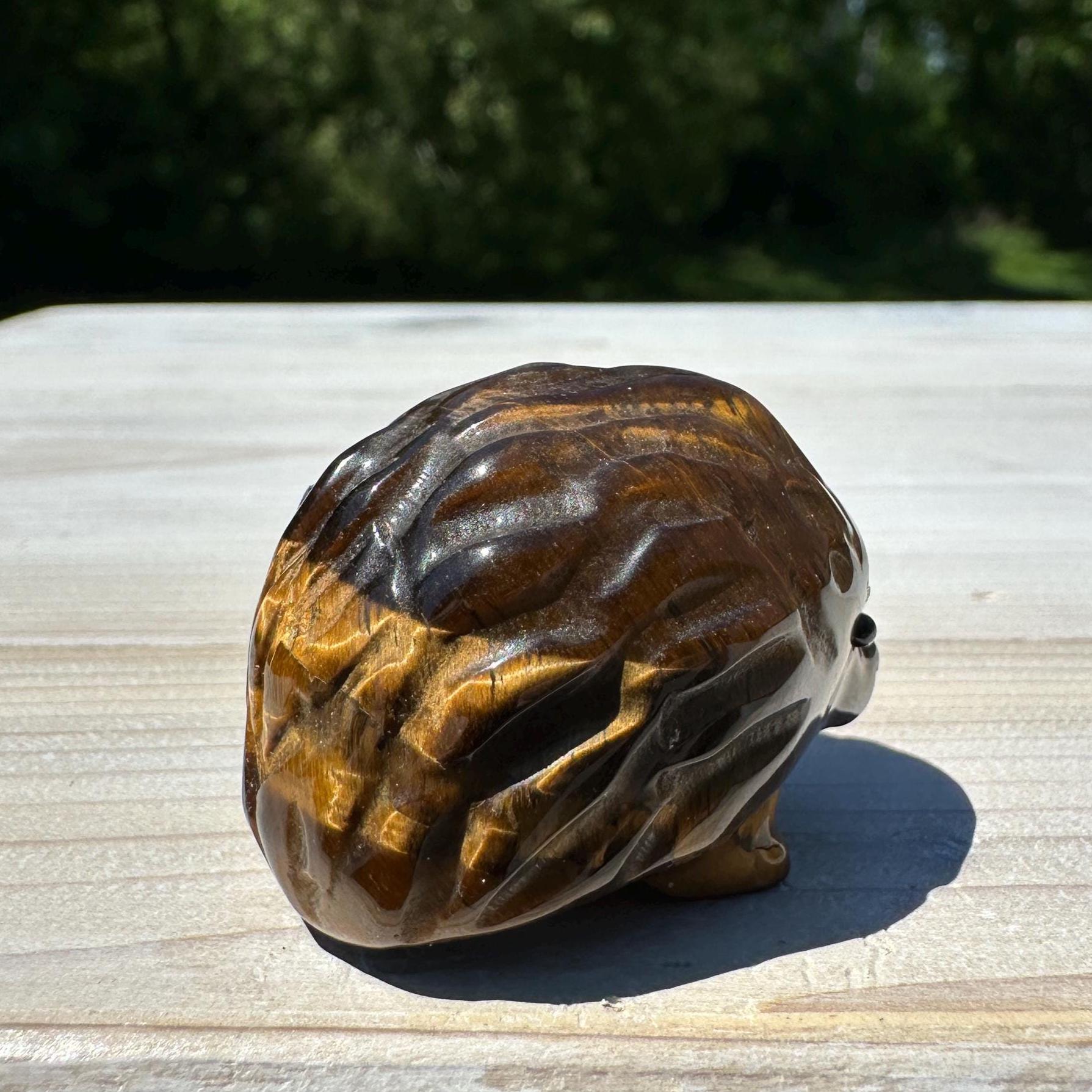 Cute Tiger Eye Hedgehog Carving - #3