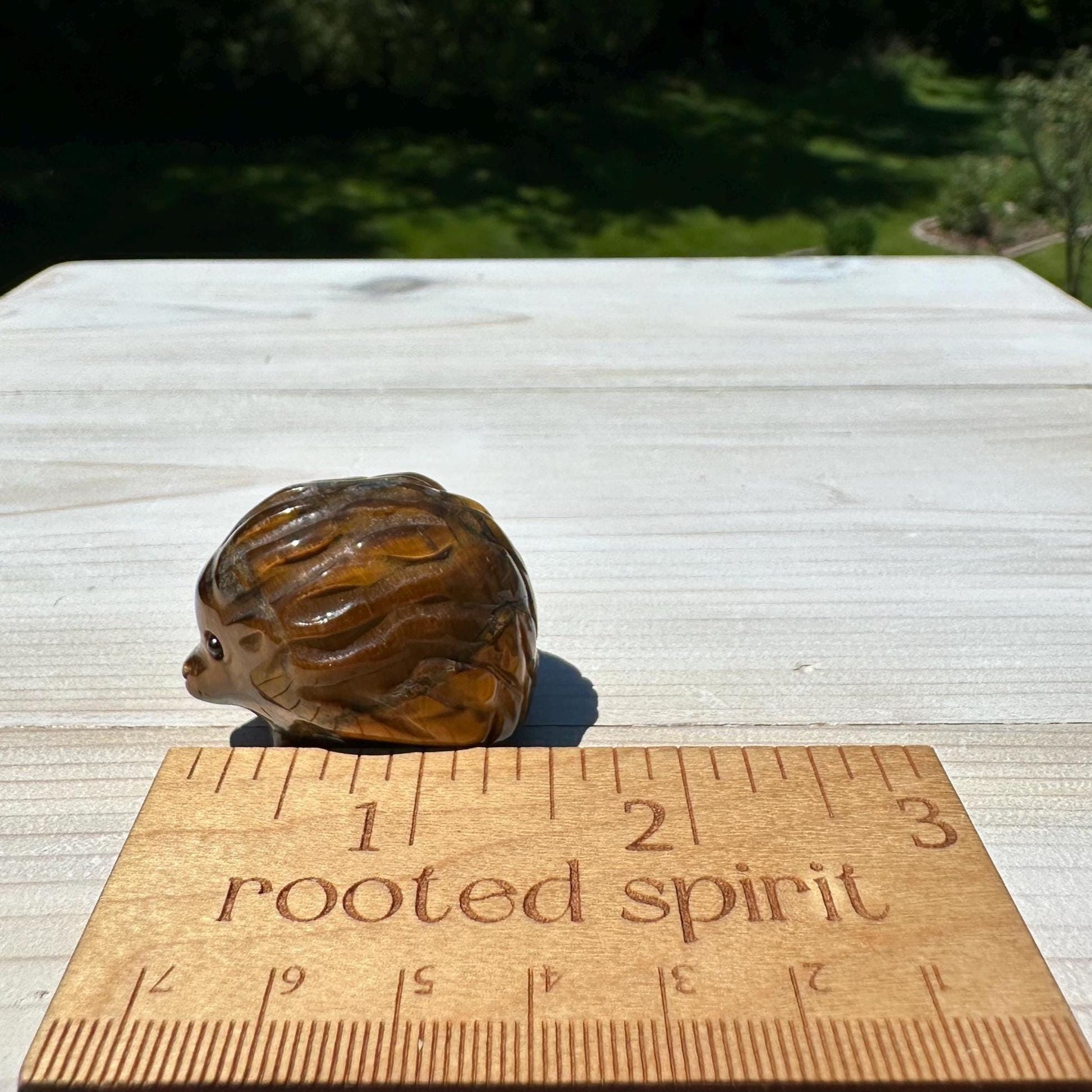 Cute Tiger Eye Hedgehog Carving - #4