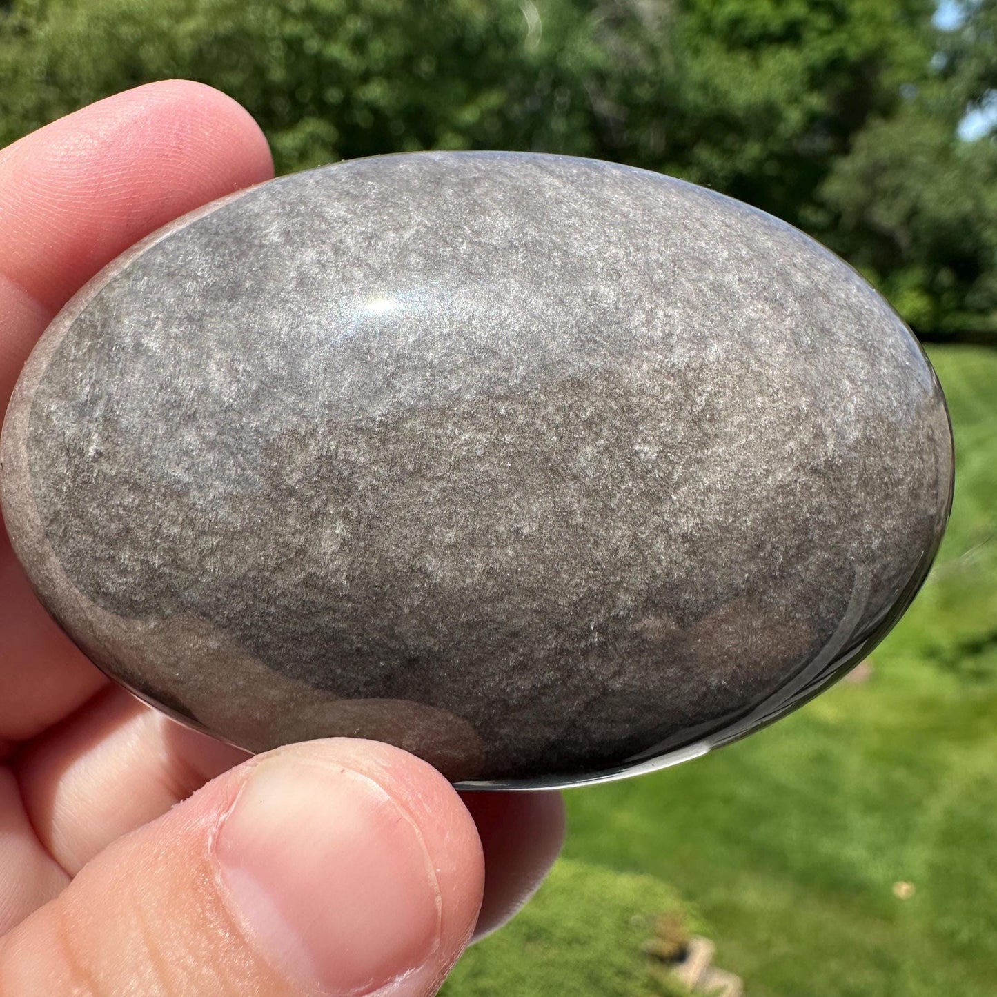Silver Sheen Obsidian Palm Stone from Mexico - #4