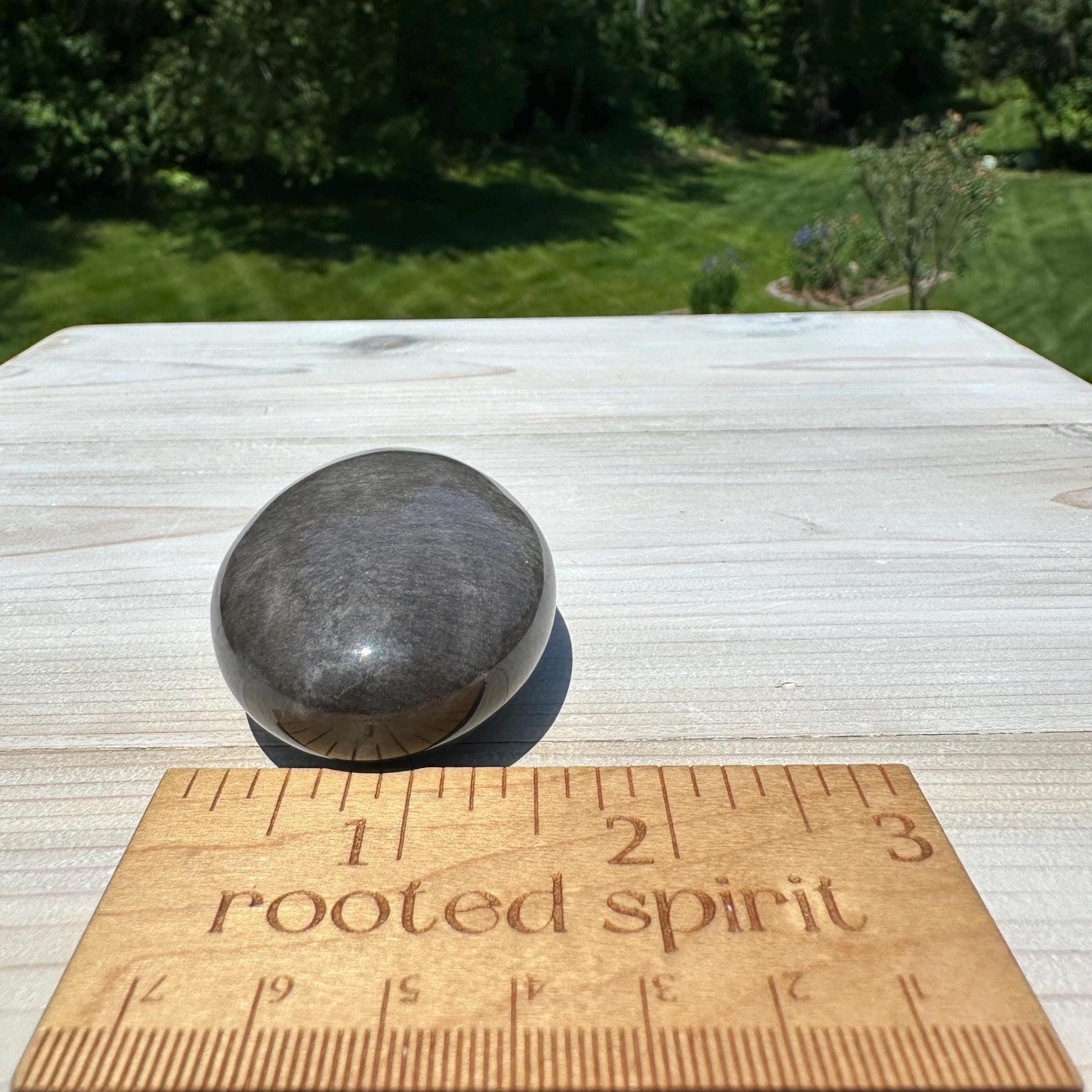 Silver Sheen Obsidian Palm Stone from Mexico - #5