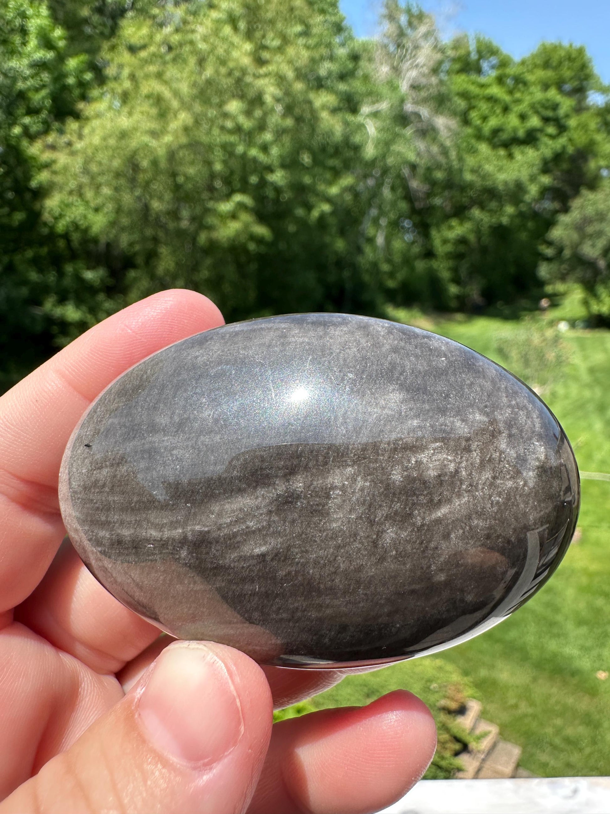 Silver Sheen Obsidian Palm Stone from Mexico - #6