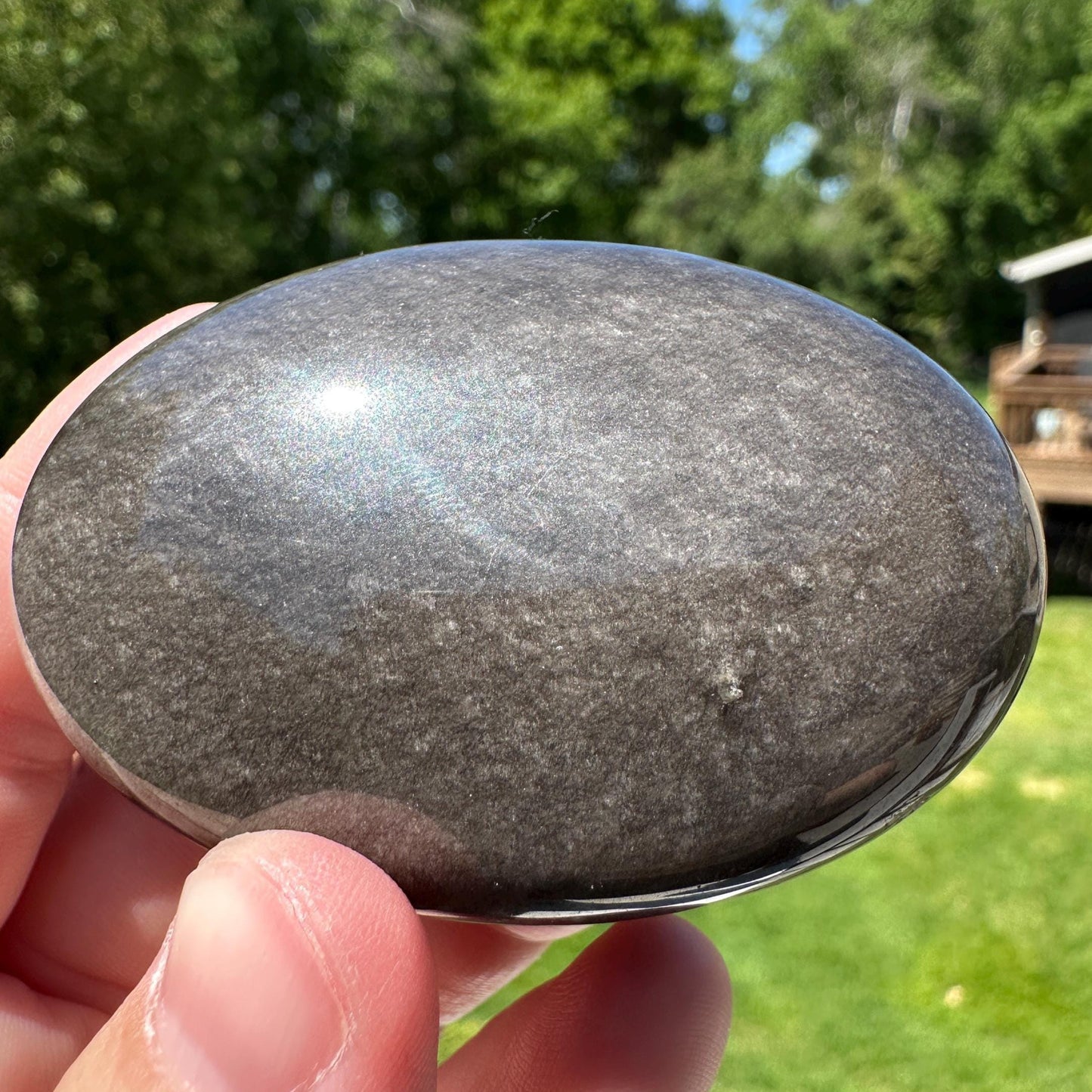 Silver Sheen Obsidian Palm Stone from Mexico - #2