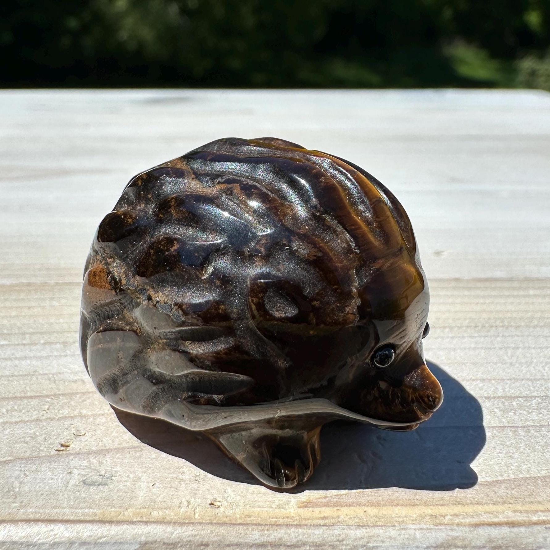 Cute Tiger Eye Hedgehog Carving - #1