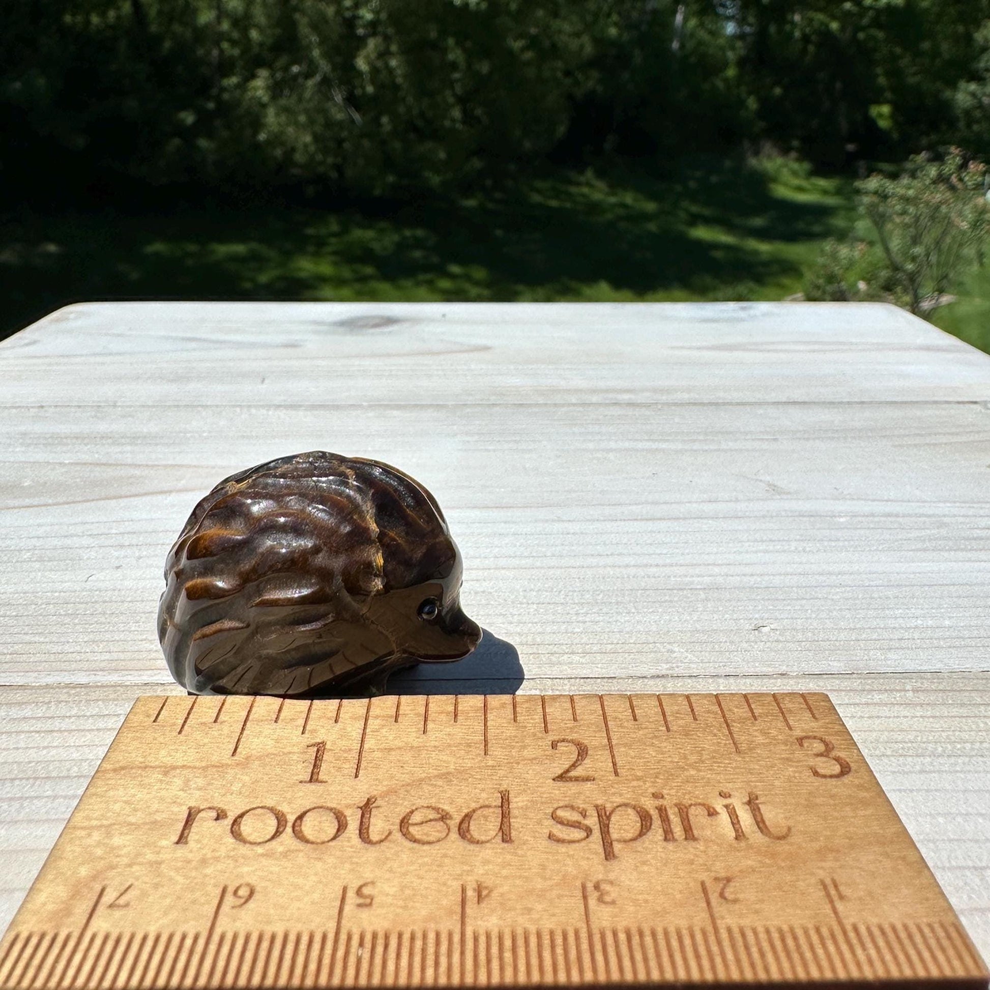 Cute Tiger Eye Hedgehog Carving - #2