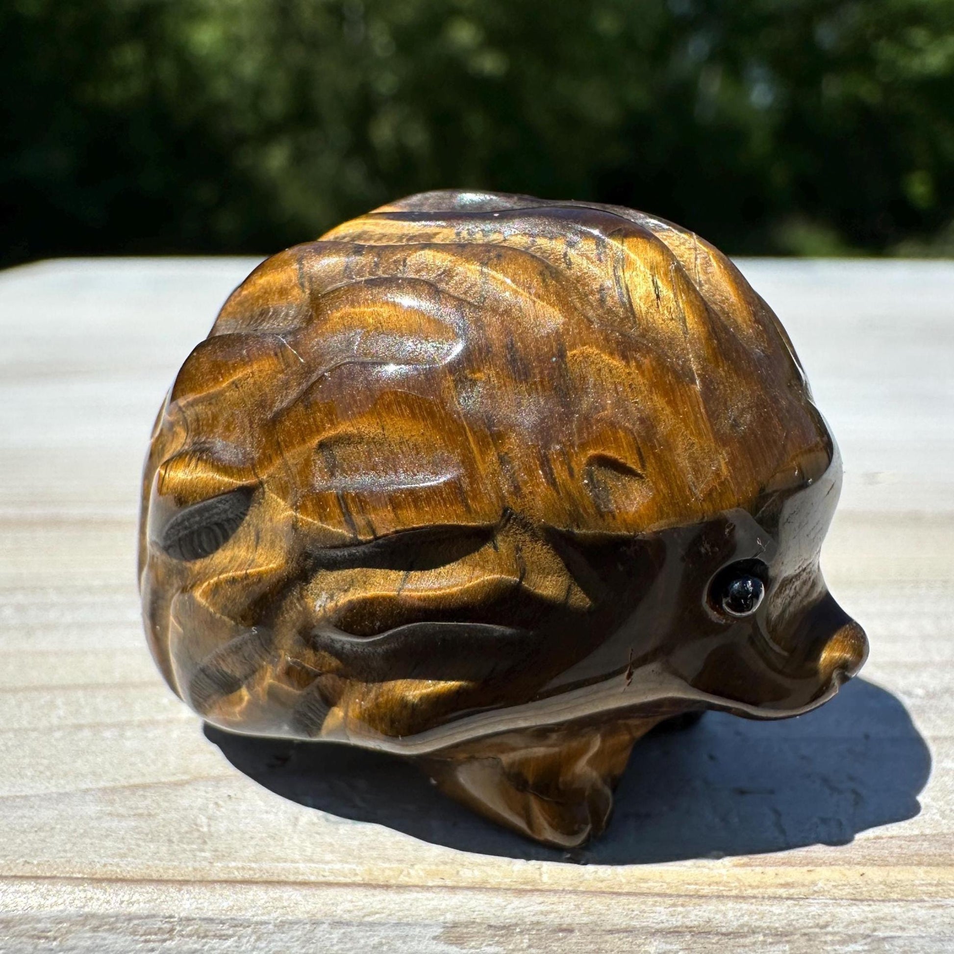 Cute Tiger Eye Hedgehog Carving - #3