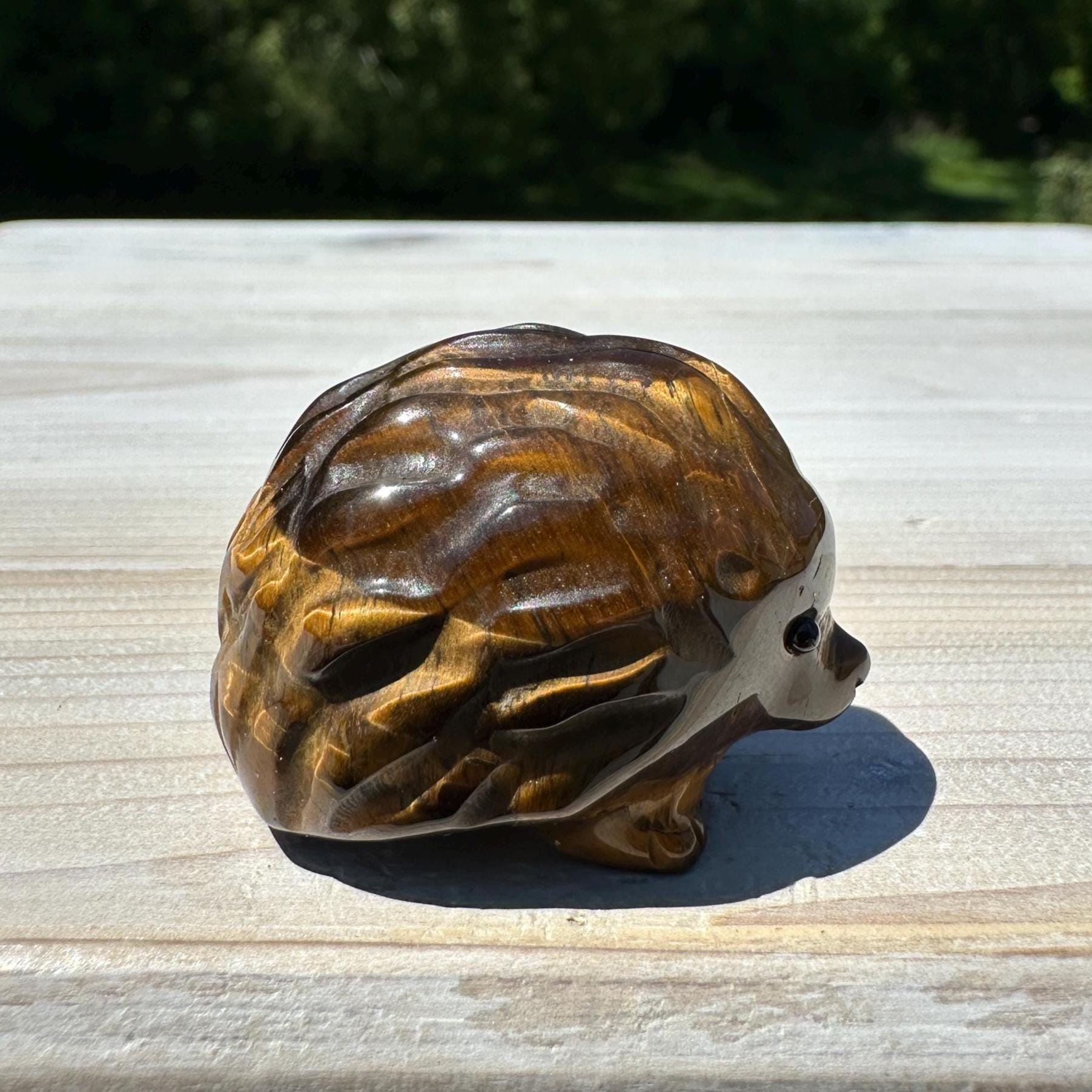 Cute Tiger Eye Hedgehog Carving - #3