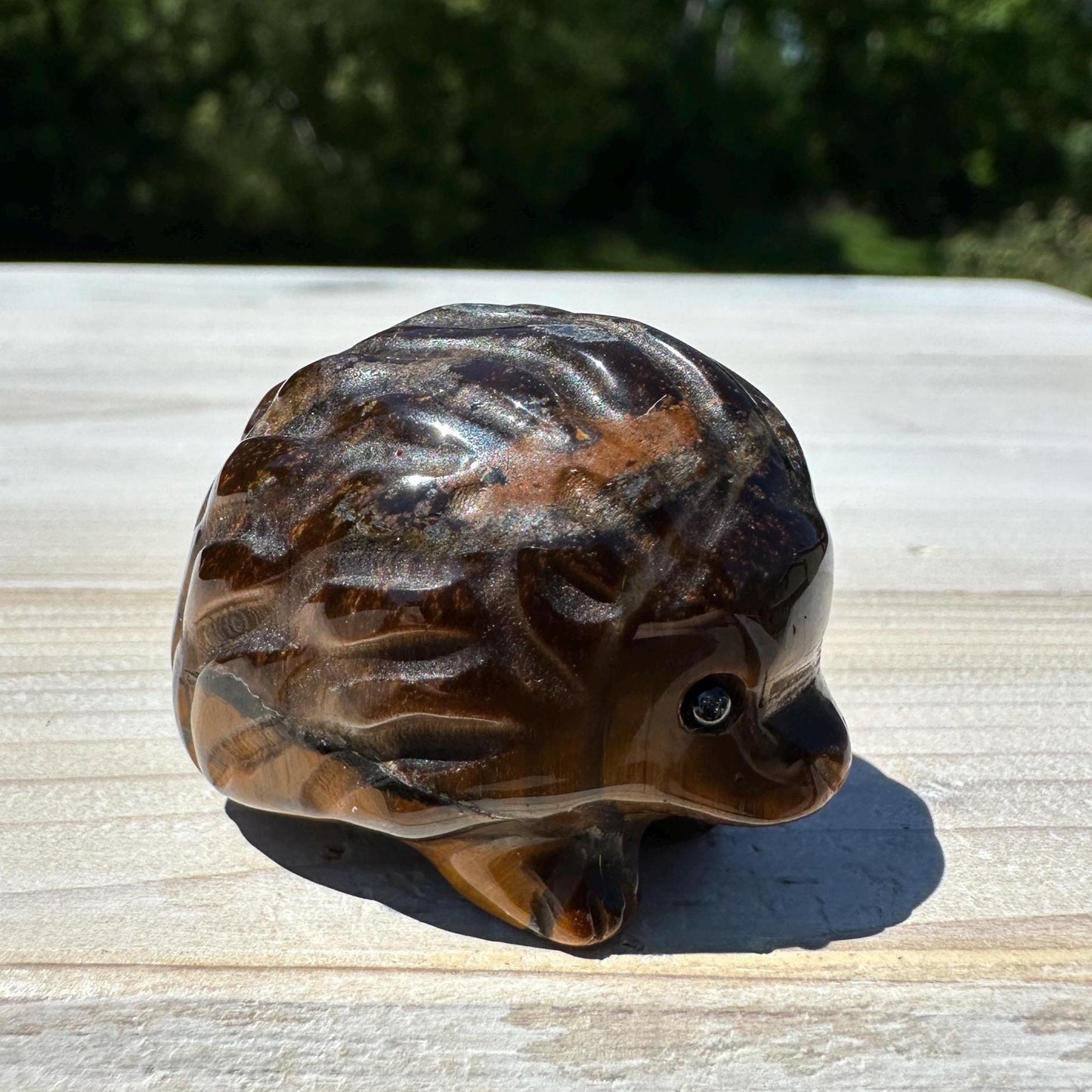 Cute Tiger Eye Hedgehog Carving - #4