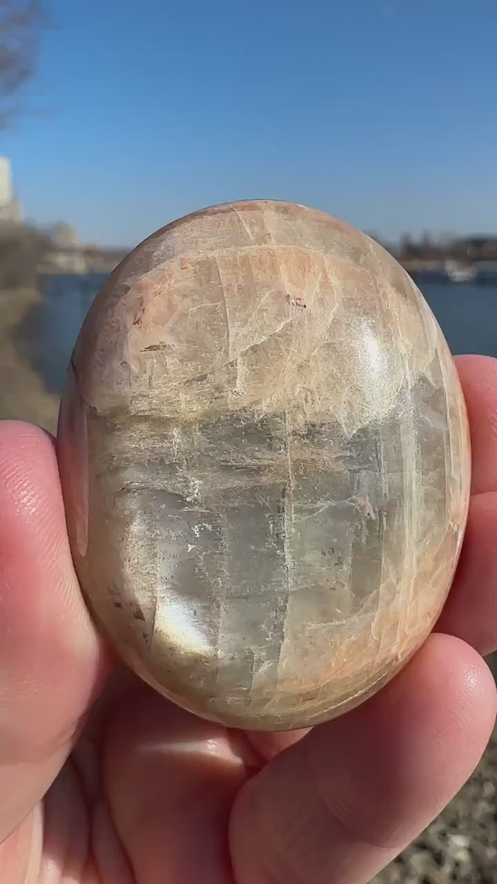 Gorgeous Indian Moonstone Palm Stone | Tucson Exclusive