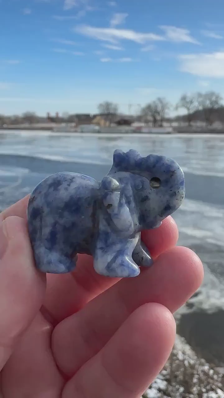 Elephant Animal Carving