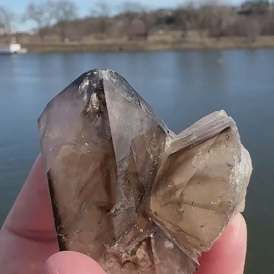 Stunning Elestial Smoky Quartz Point from Brazil