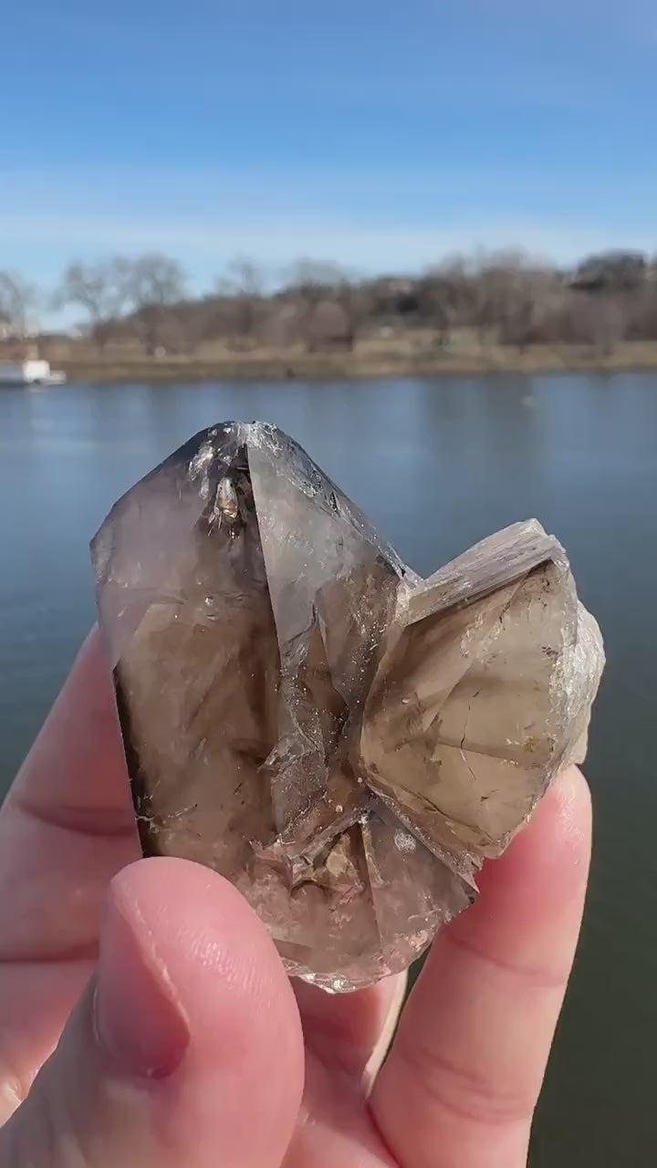 Stunning Elestial Smoky Quartz Point from Brazil