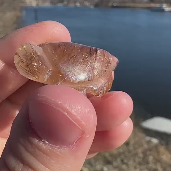 High Grade Golden Rutile Quartz Turtle Carving from Brazil | Garden Quartz | Inclusion Quartz