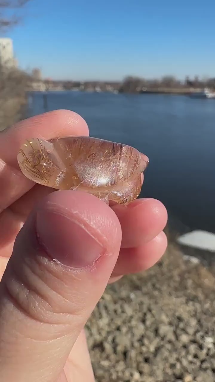 High Grade Golden Rutile Quartz Turtle Carving from Brazil | Garden Quartz | Inclusion Quartz