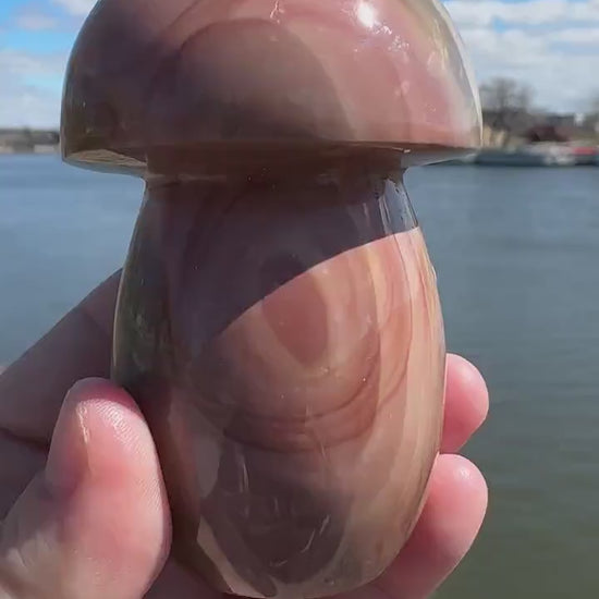 Dreamy Polychrome Jasper Mushroom Crystal Carving