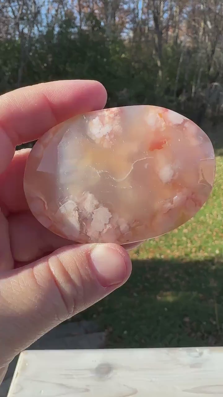 Beautiful Carnelian Flower Agate Palm Stone- #1